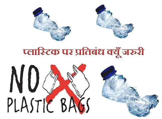 essay on plastic ban in hindi