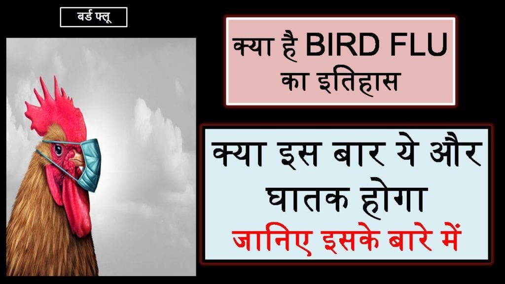 Bird-Flu-Kya-hain-Essay-In-Hindi