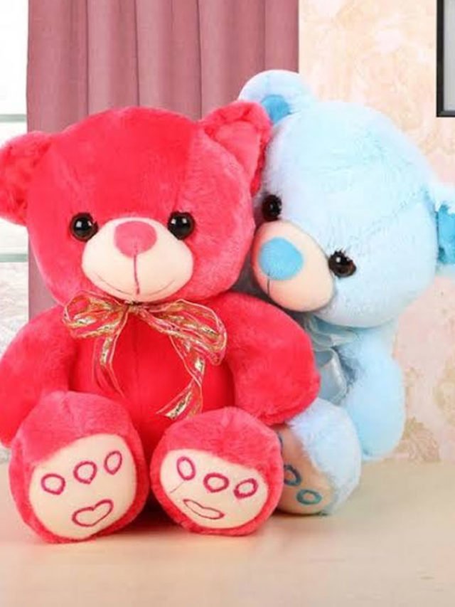 Teddy Bear Day Shayari